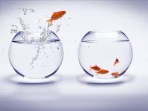 SEO优化使用场景大全：总有你需要的
